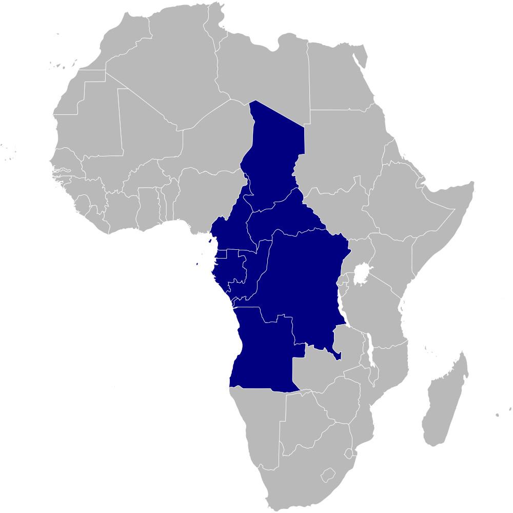 Introducing CEREEAC: the Centre for Renewable Energy and Energy Efficiency for Central Africa 